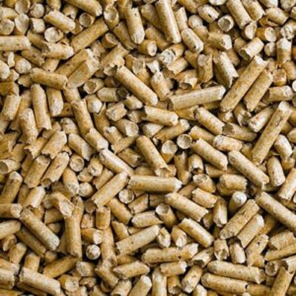 Buy Wood Pellets Poland