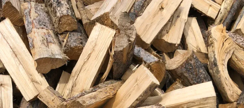 Premium Firewood for Sale in Poland